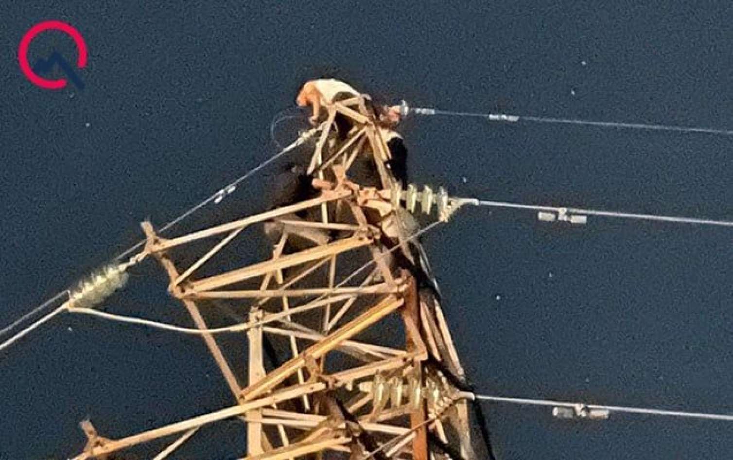İçkili vəziyyətdə elektrik dirəyinə çıxdı - Qəsəbə işıqsız qaldı 