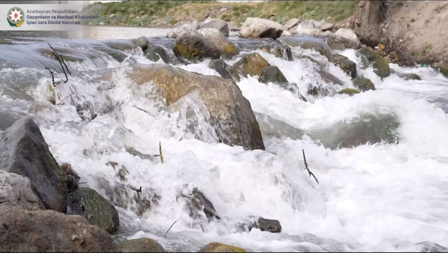 Laçında yeni səhər, yeni həyat... - Video 