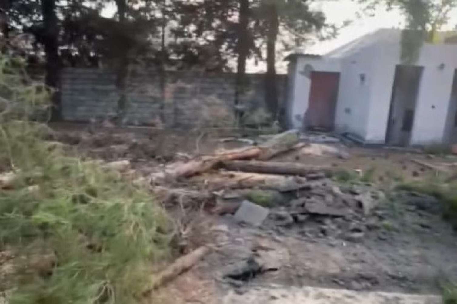Zaqatalada AĞAC TERRORU:  Polis araşdırmalara başladı - VİDEO