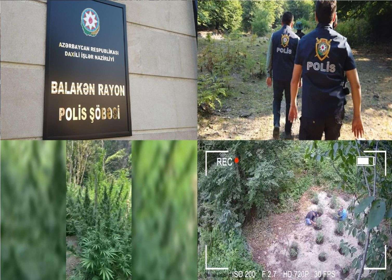 Dağda narkotik becərən silahlı dəstə ifşa olundu 