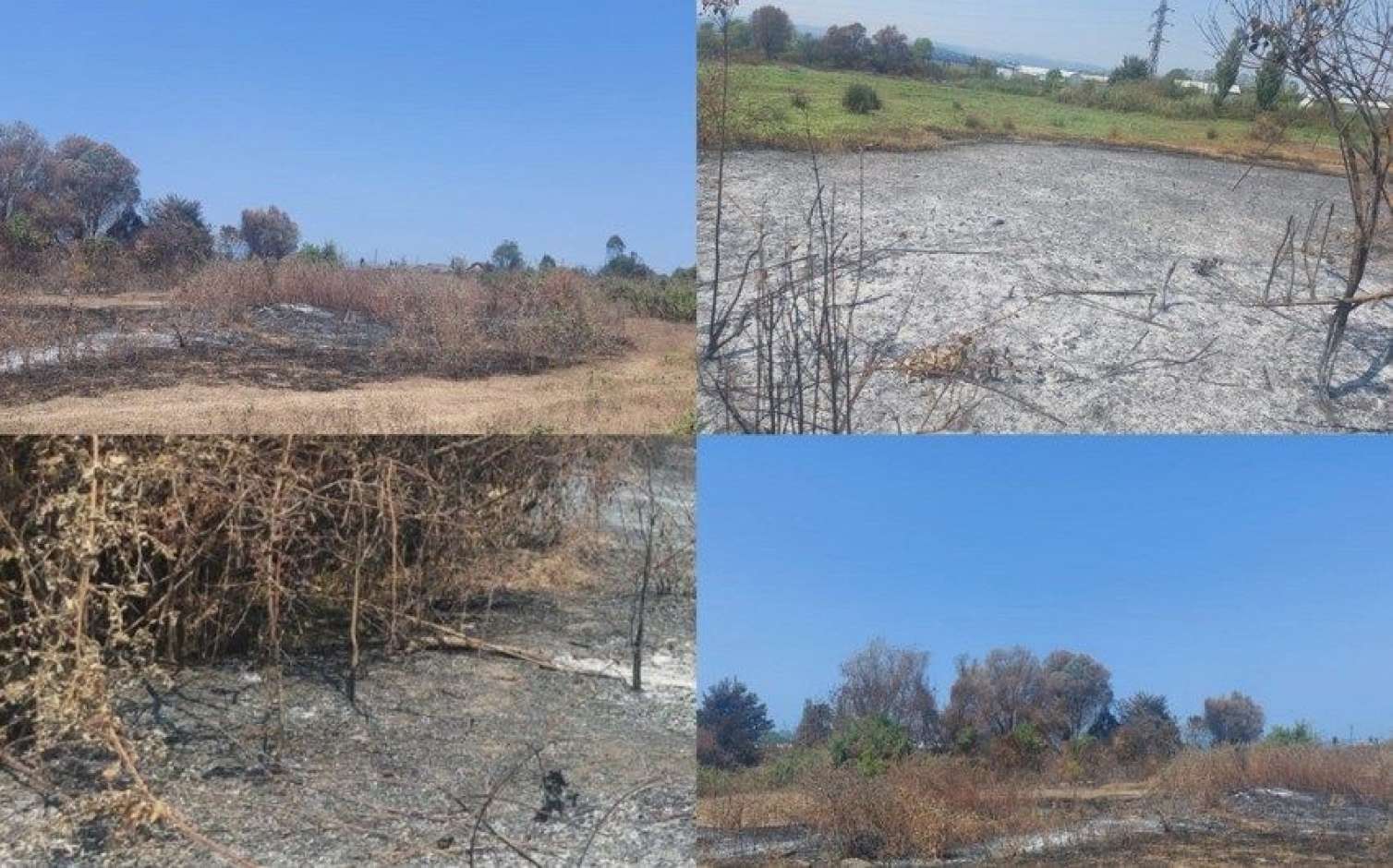 Daha bir yanğın törədən şəxs saxlanıldı 