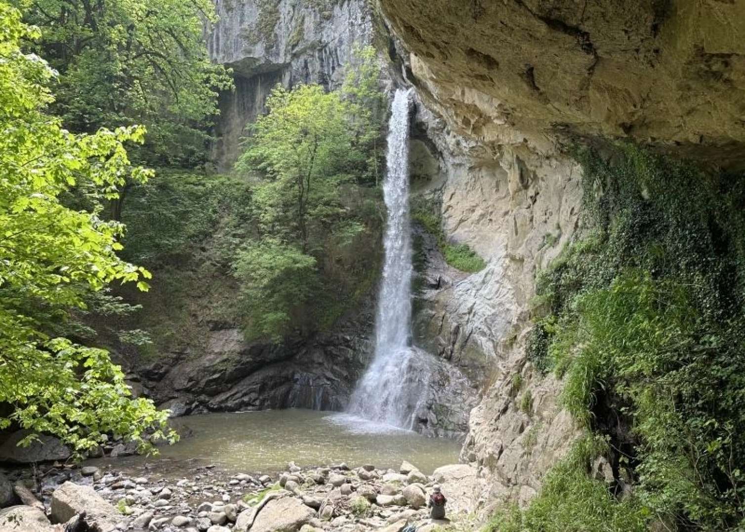 Turistlərin çirkləndirdiyi ərazi təmizləndi 