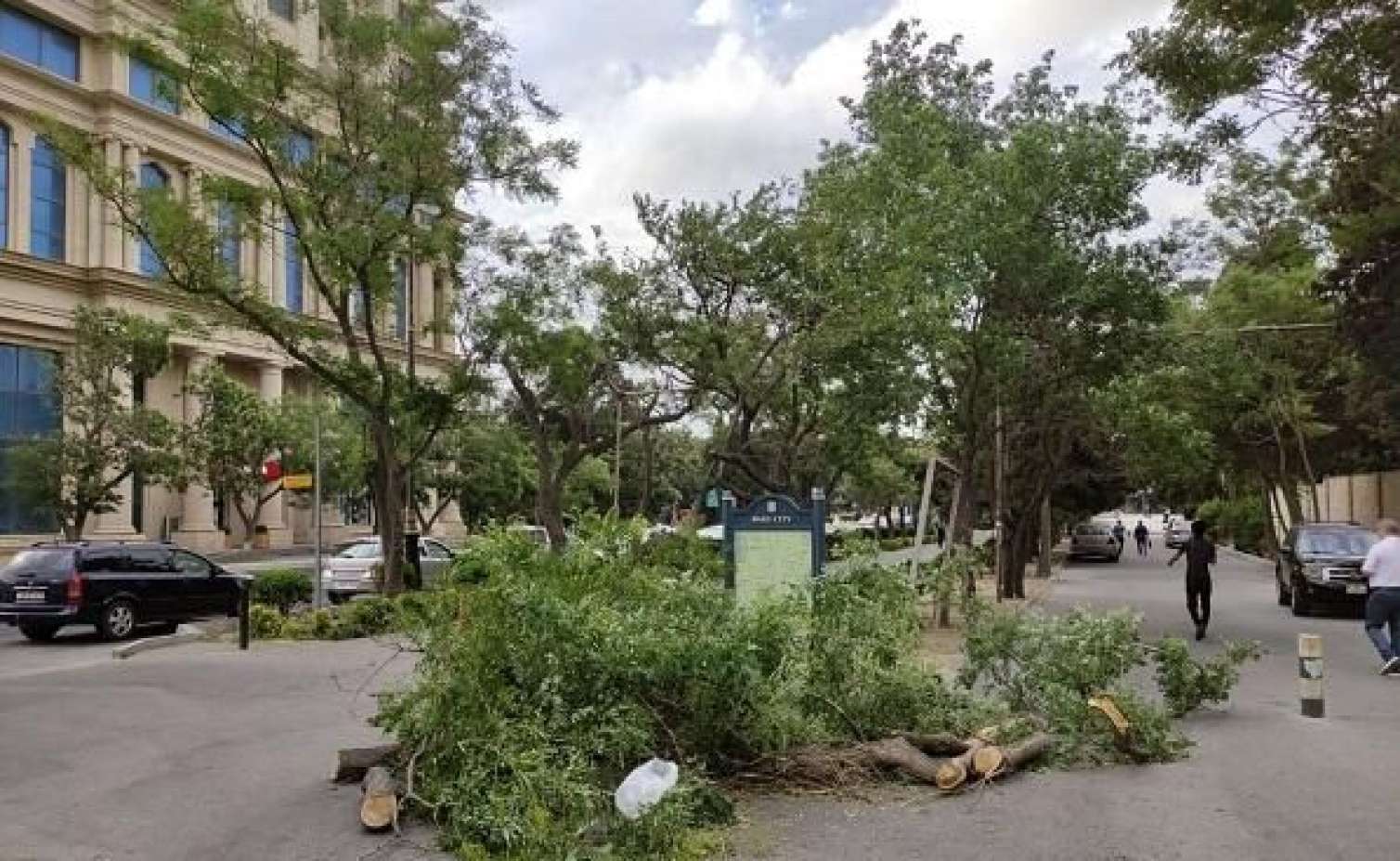 Bakıda qadın ağacın altında qaldı 