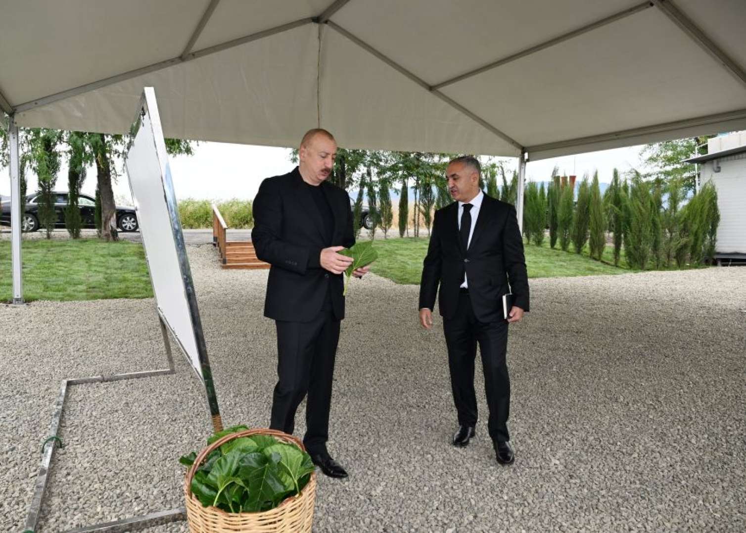 Prezident Xocalıda tut bağında - FOTO