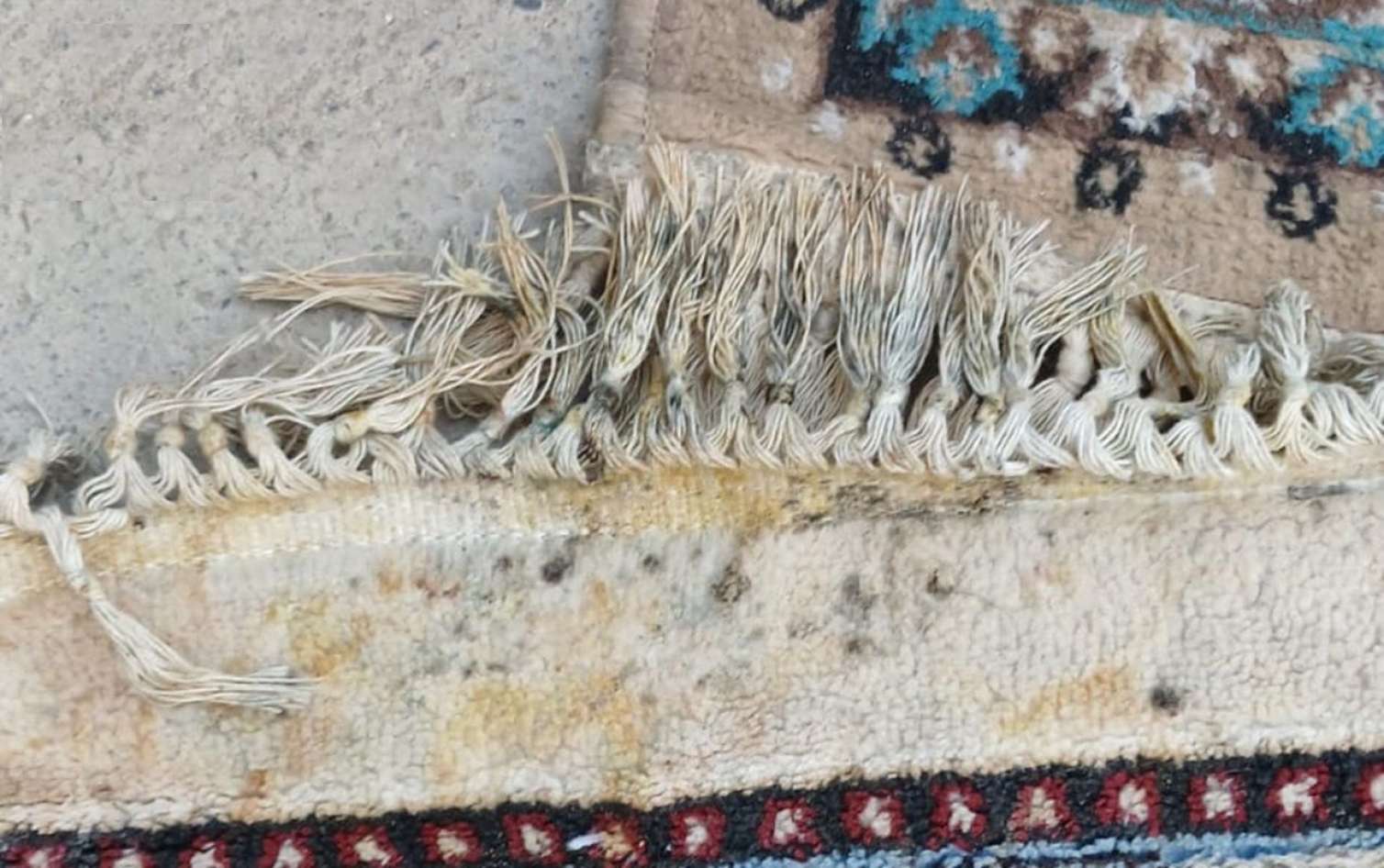 “İki aydır yumağa xalça vermişdik, çirkli formada geri qaytardılar” 