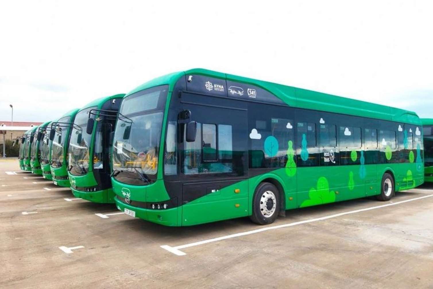 Bakıda bu marşruta yeni avtobuslar verildi 