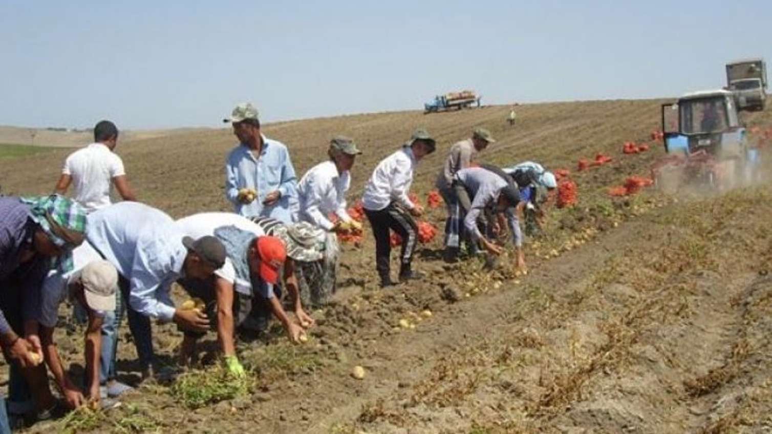 Fermerlər işçi tapa bilmirlər 