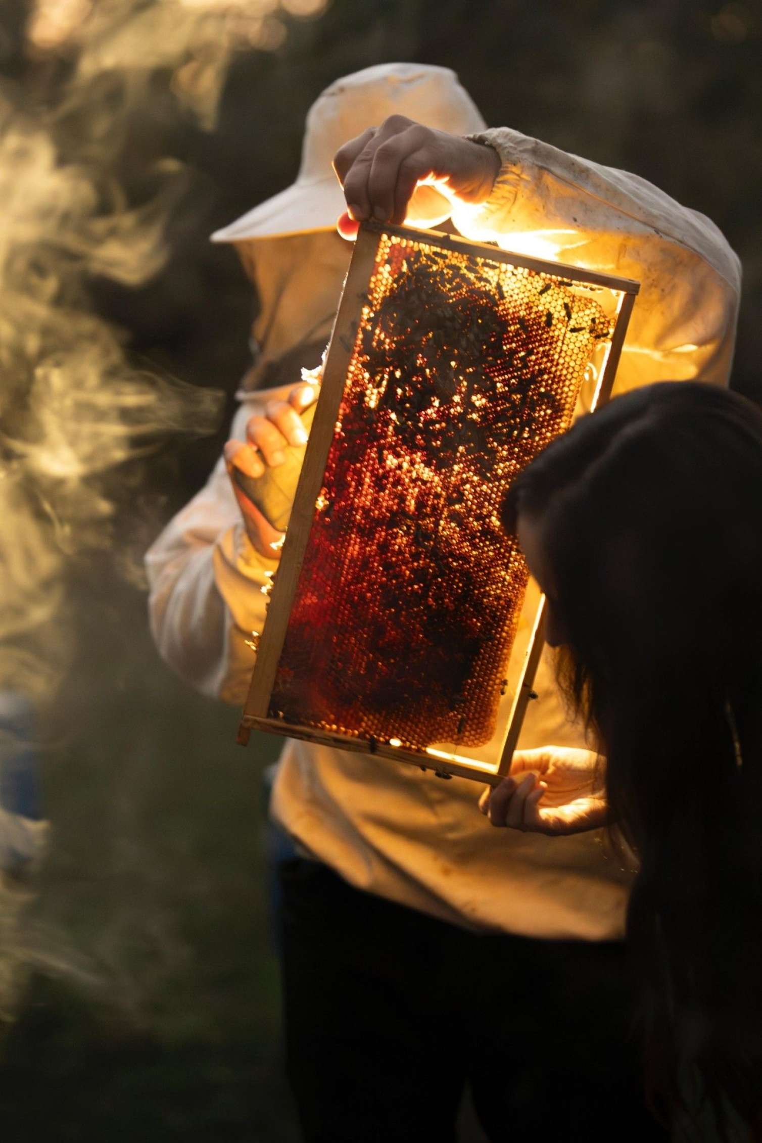 Leyla Əliyeva “Gənc arıçı” ilə görüşdü - FOTO 