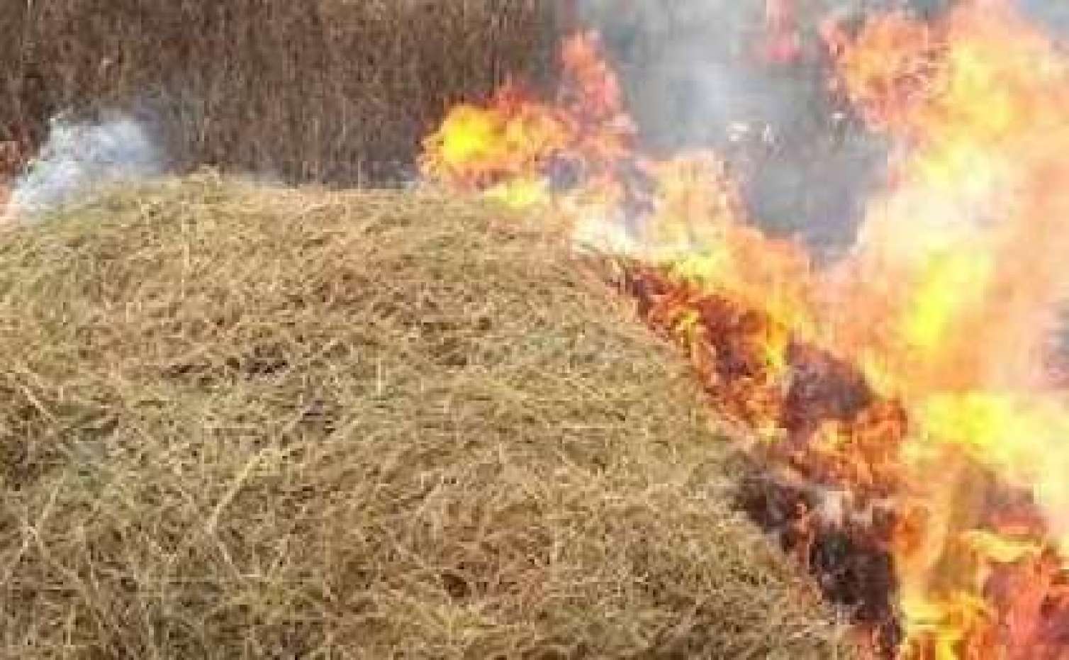 İmişlidə yanğın – Zəhərlənənlər var 