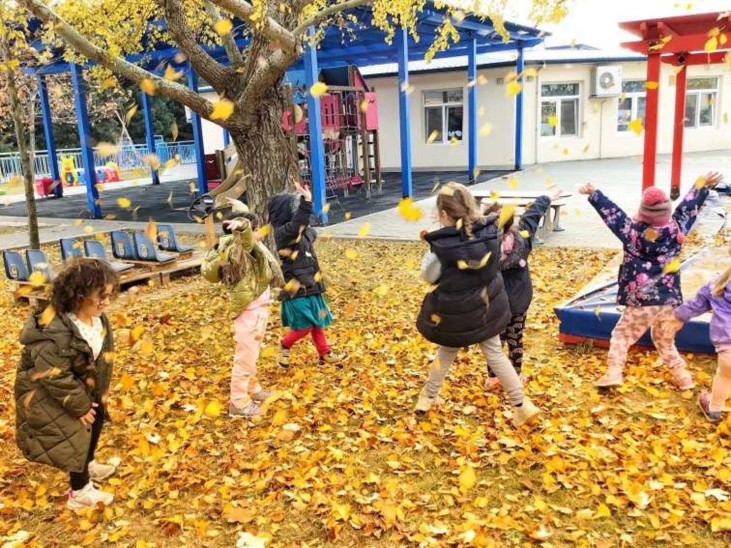 Məktəblərdə payız tətili başlayır 