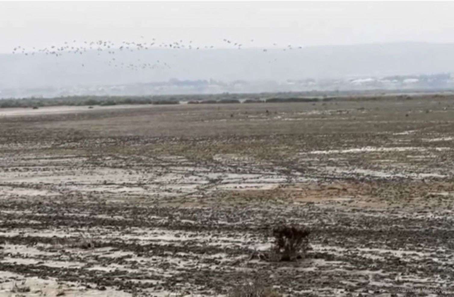 Ən böyük göllərimizdən biri təhlükədə – Demək olar ki, quruyub – VİDEO 
