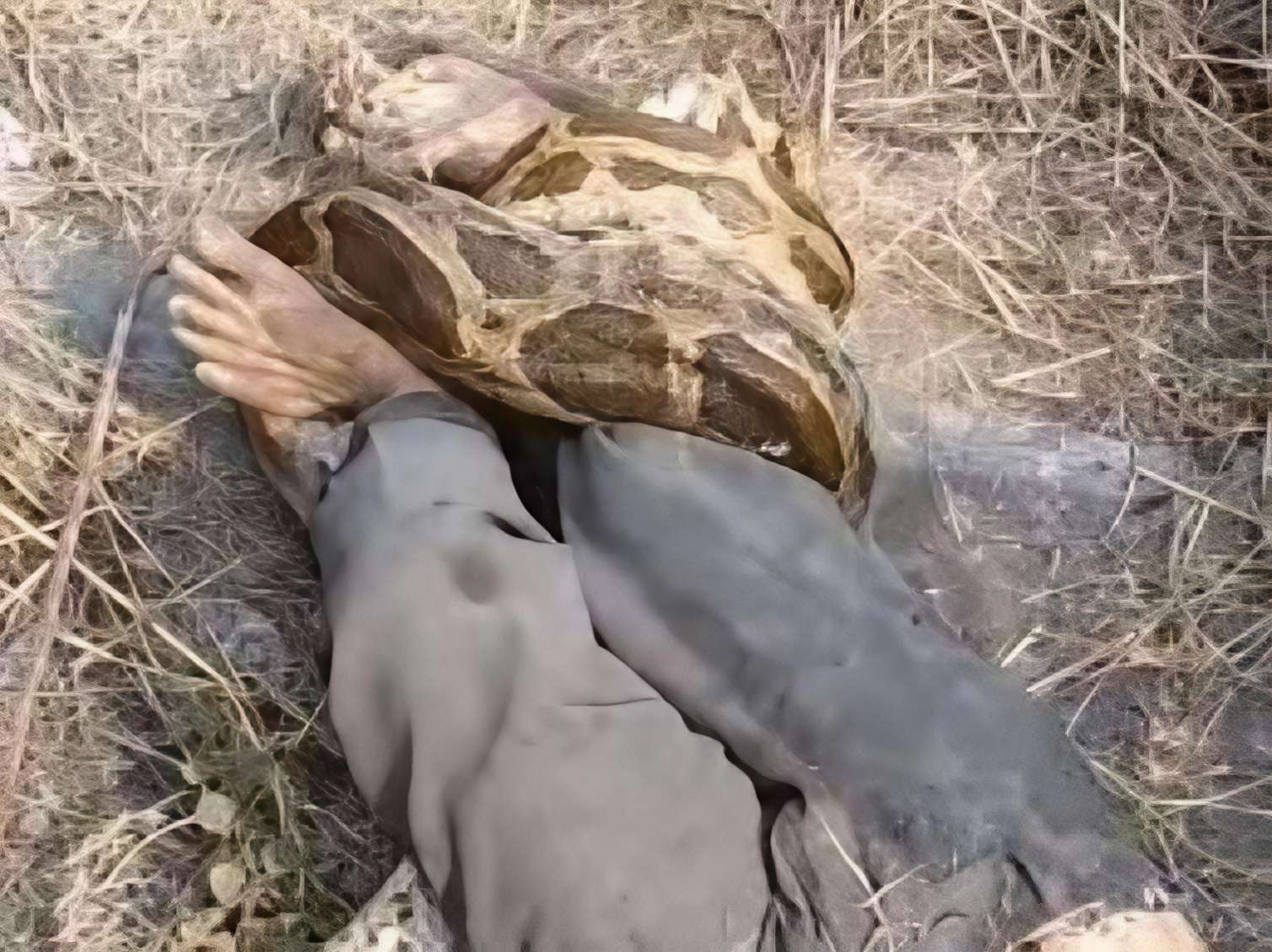 4 metrlik piton fəhləni boğmaq istədi – Son anda xilas edildi – VİDEO 