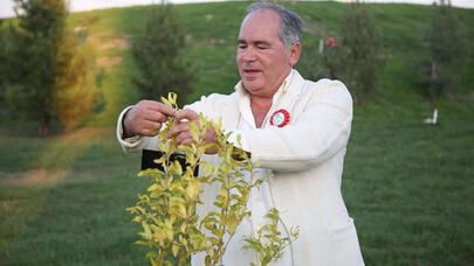 “AzNar” müflis olmaq ərəfəsində – Borc yarım milyona çatıb 