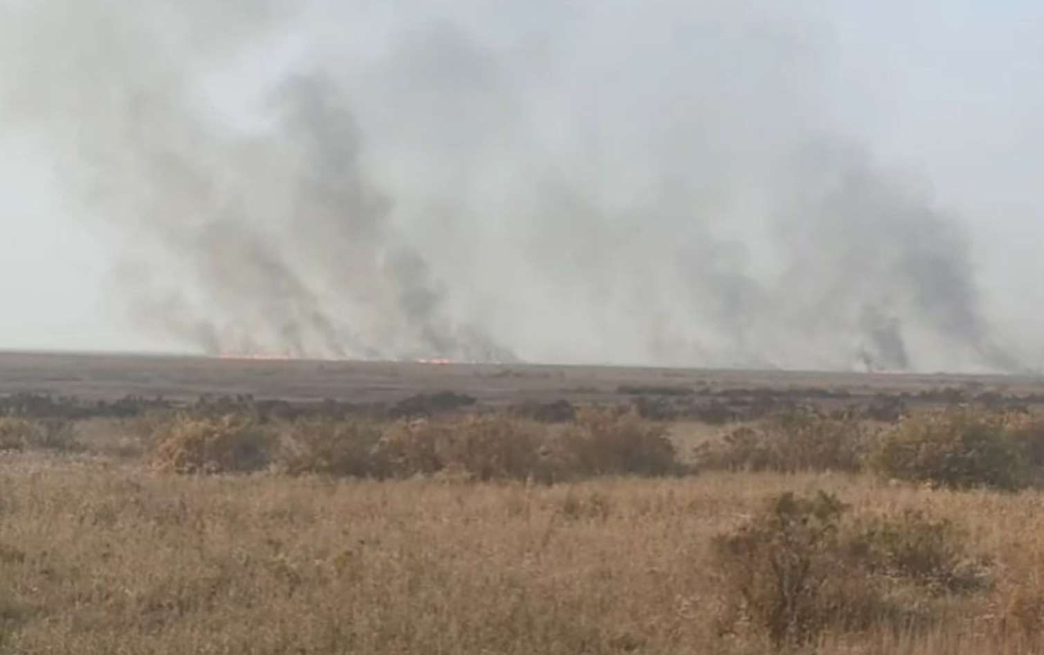 Cəlilabadda yanğın – VİDEO 