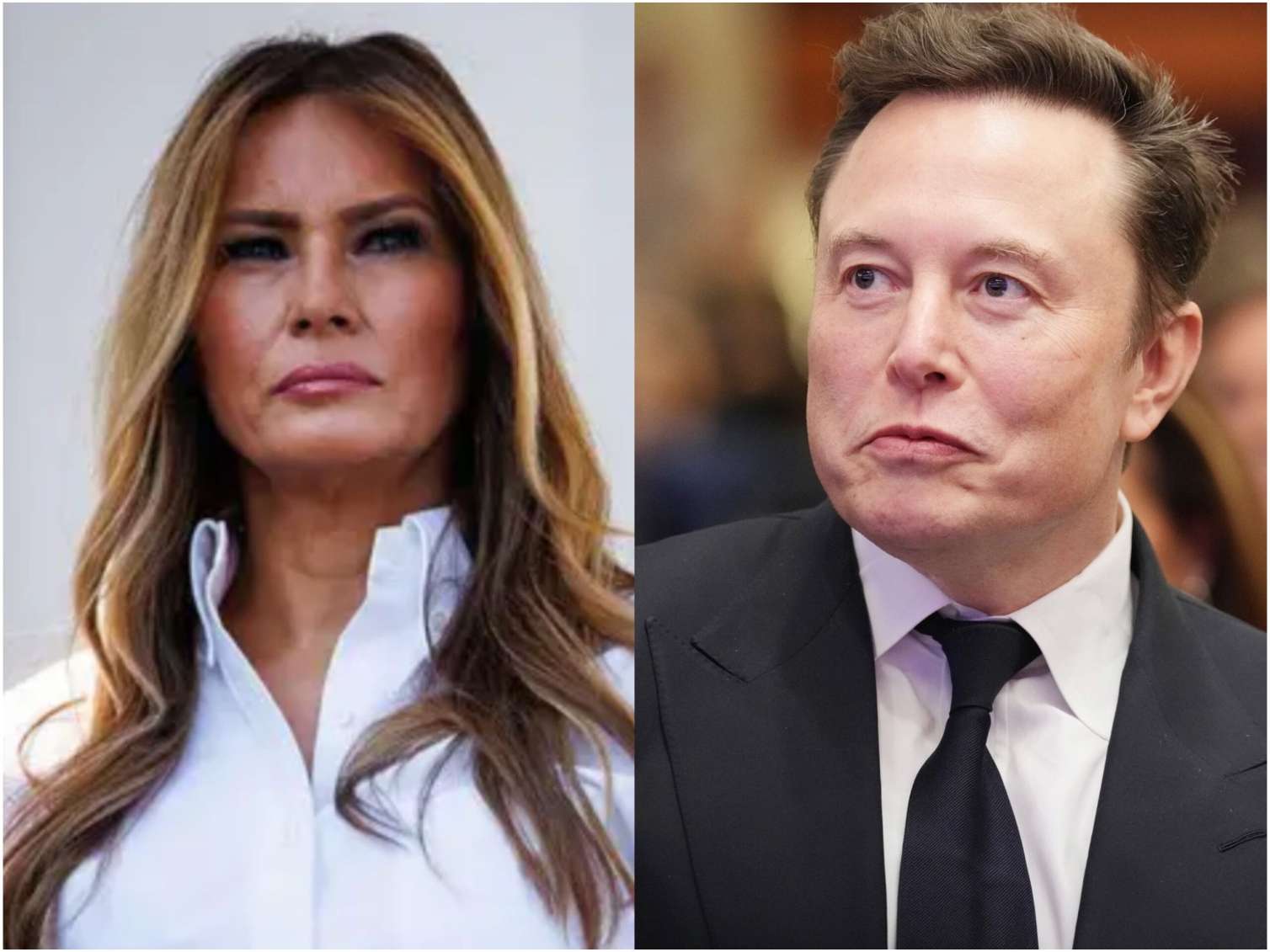 Melaniya Tramp və İlon Mask ABŞ vətəndaşlığından məhrum ola bilərlər 