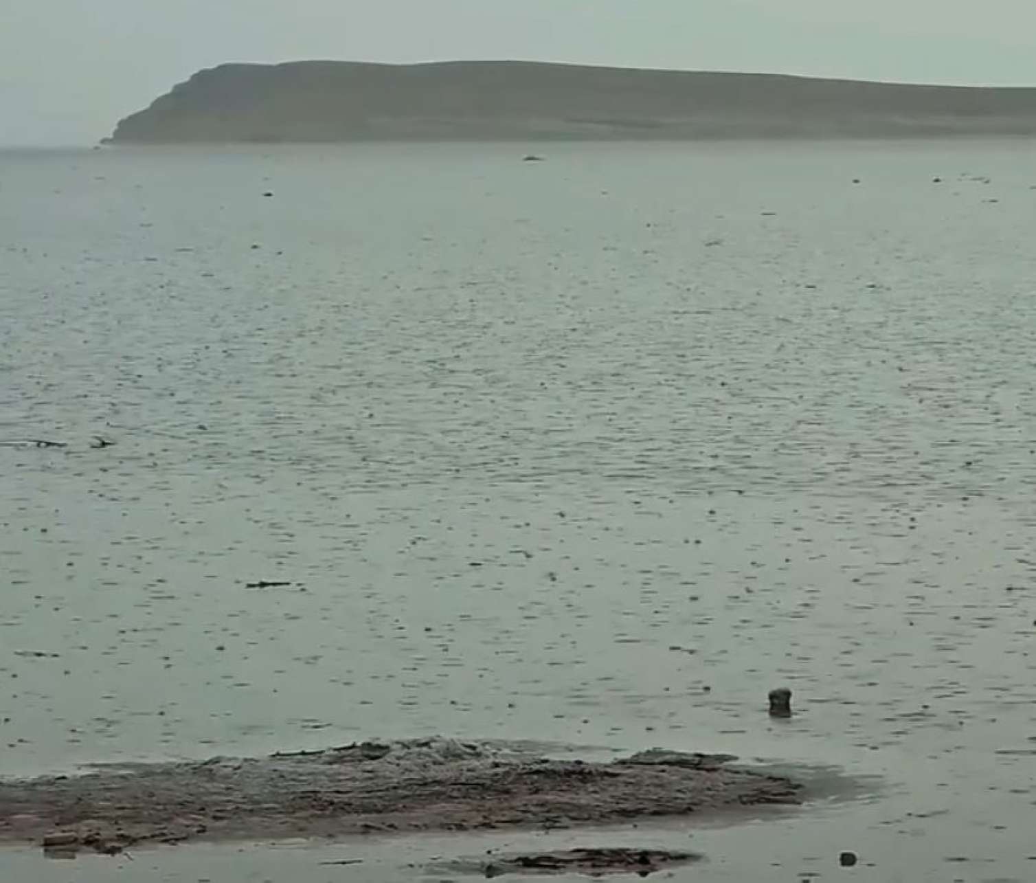 Urmiya gölündə həyat əlamətləri – Ümidlər yenidən oyandı  – VİDEO 