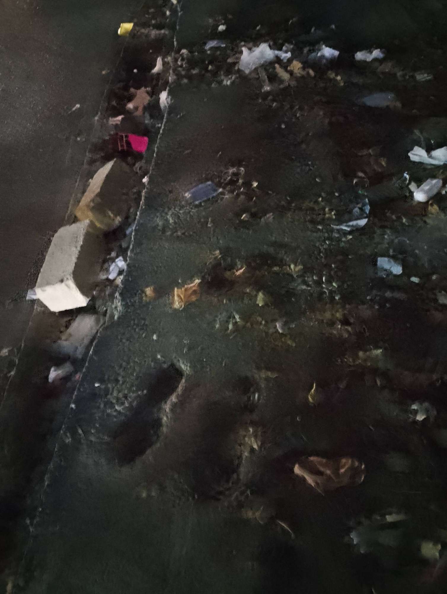 Xırdalanda ağacları kəsdilər - 13 250 manat cərimə... - FOTO 