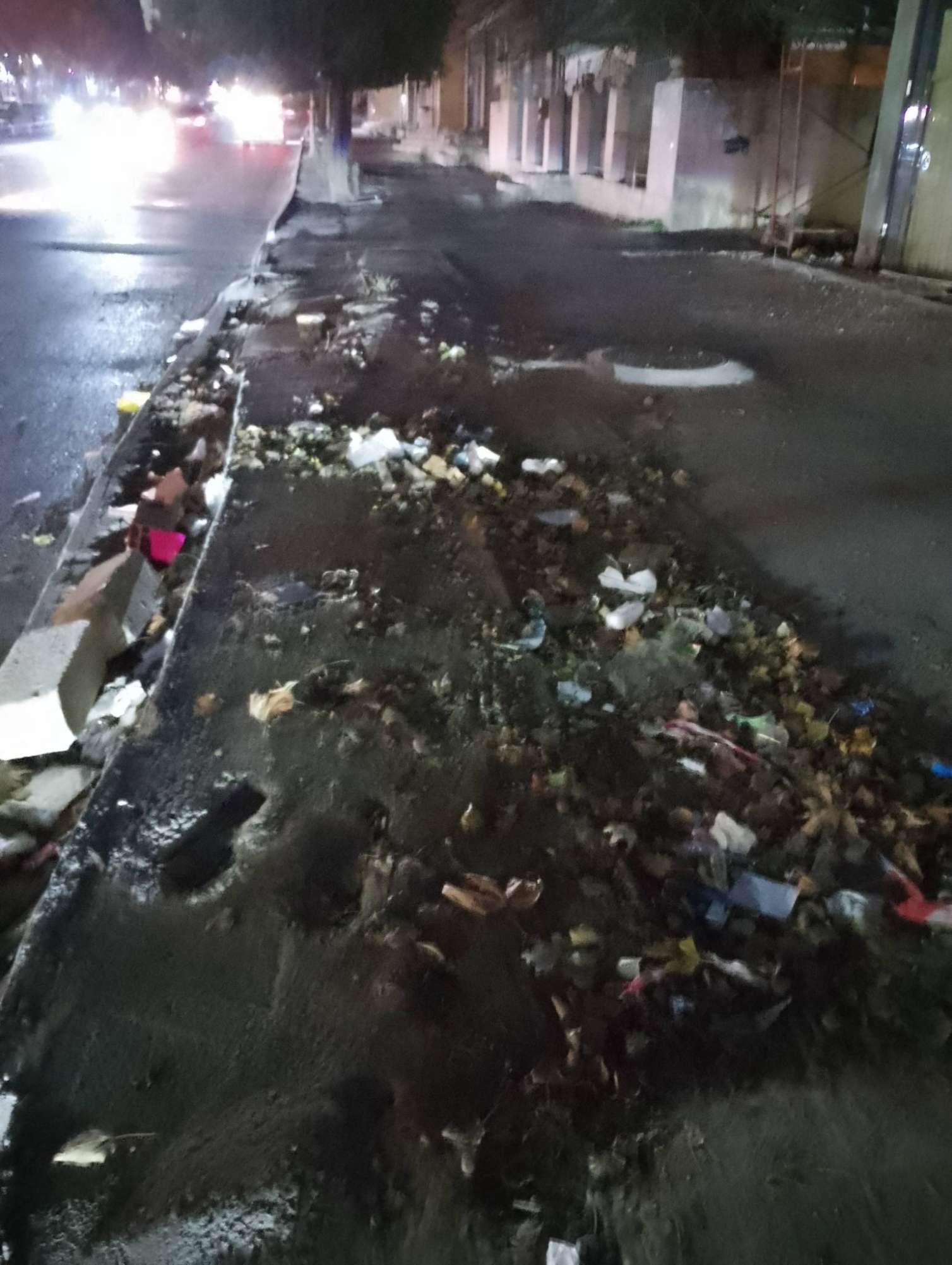 Xırdalanda ağacları kəsdilər - 13 250 manat cərimə... - FOTO 