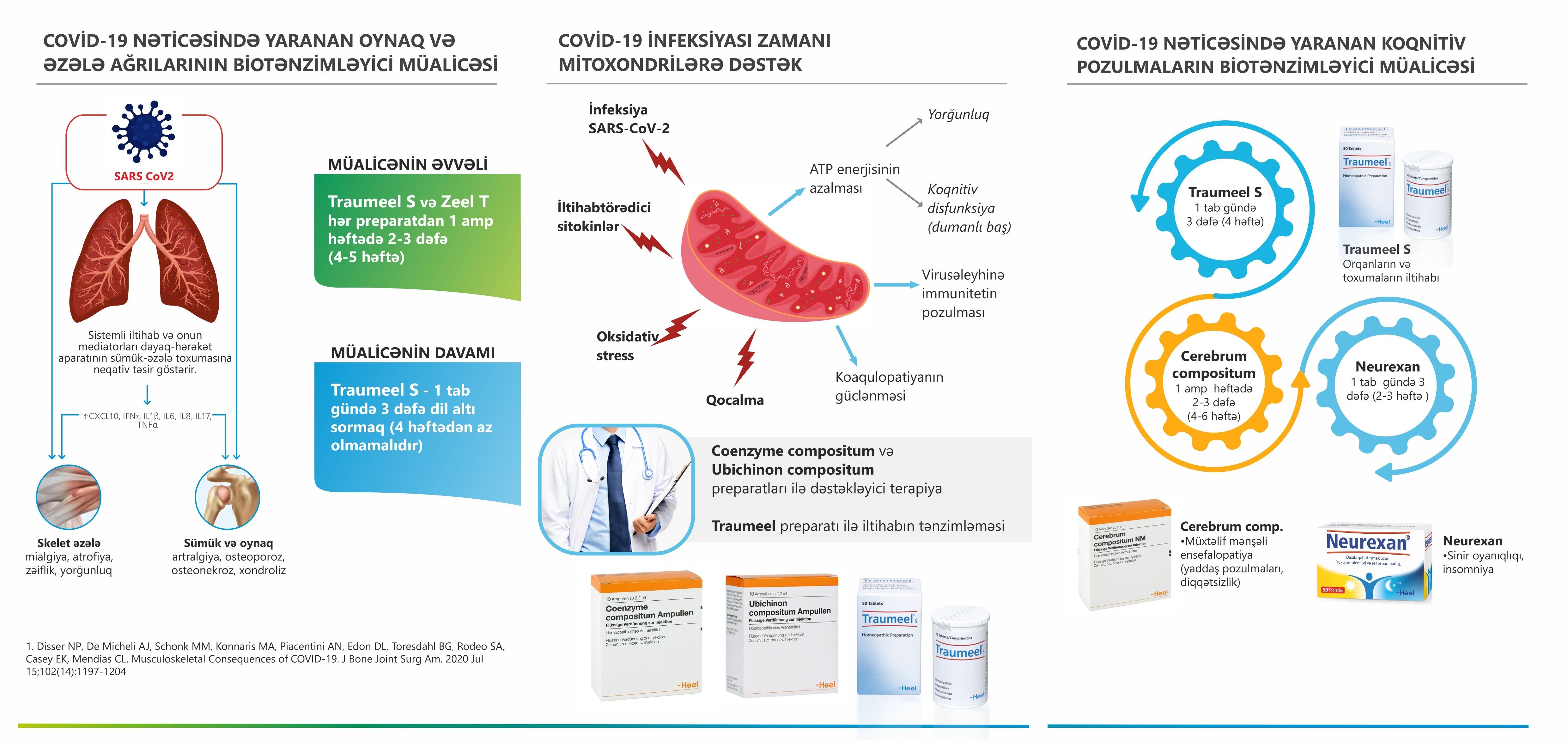 COVID-19-dan sonra bərpa müalicəsi - Necə olmalıdır?