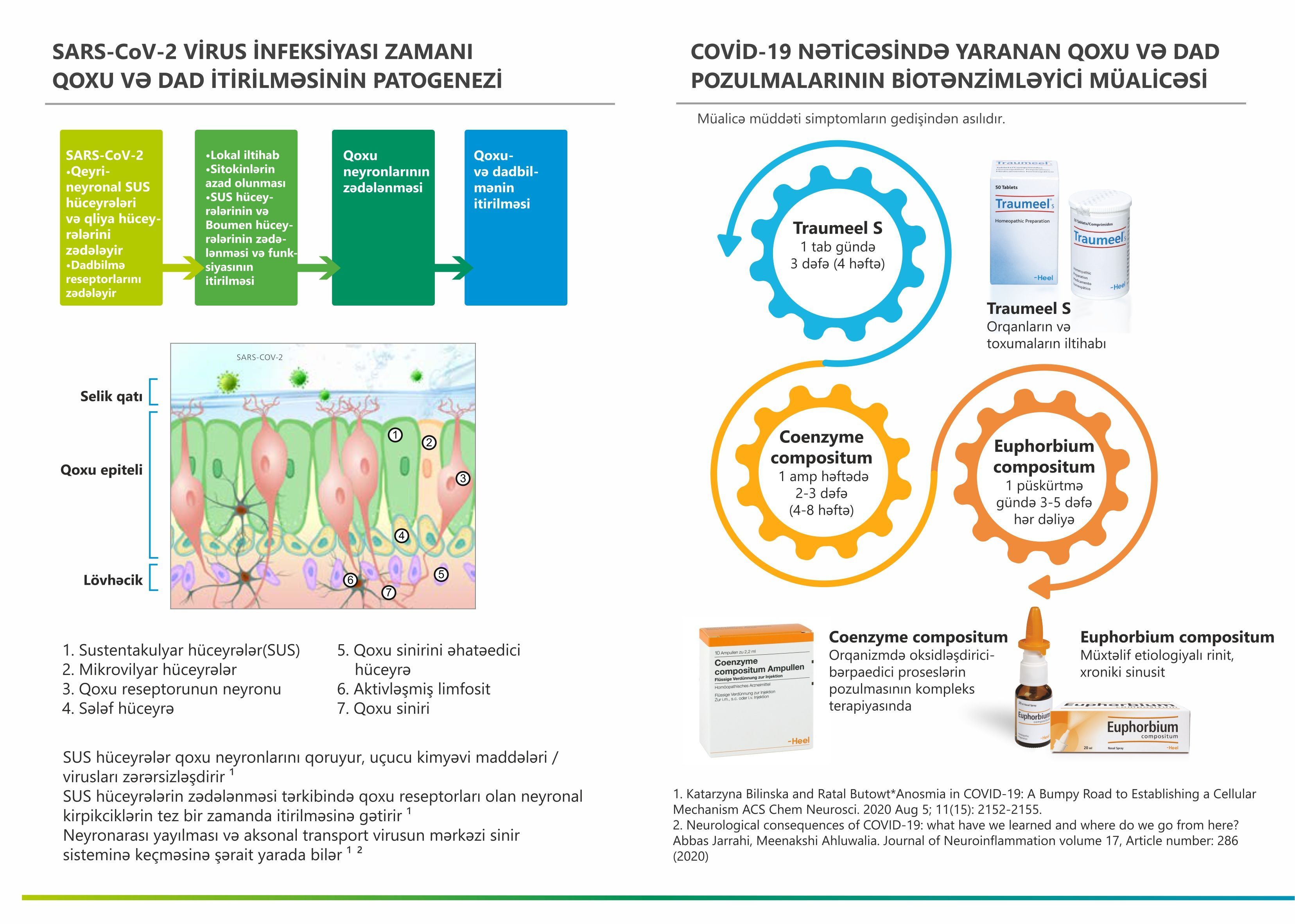 COVID-19-dan sonra bərpa müalicəsi - Necə olmalıdır?