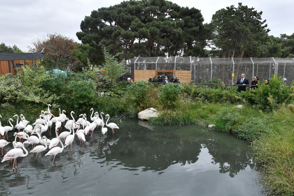 Prezidentlə ailəsi zooparkın açılışında -  FOTO - YENİLƏNİB