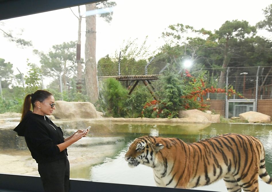 Prezidentlə ailəsi zooparkın açılışında -  FOTO - YENİLƏNİB