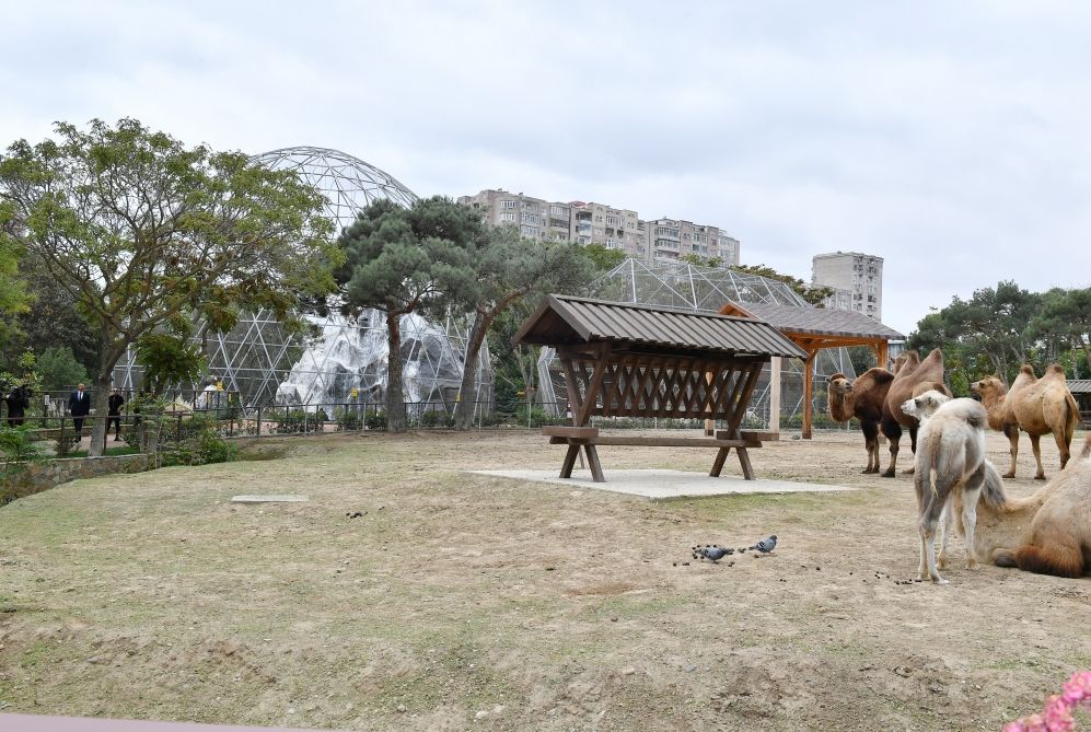 Prezidentlə ailəsi zooparkın açılışında -  FOTO - YENİLƏNİB