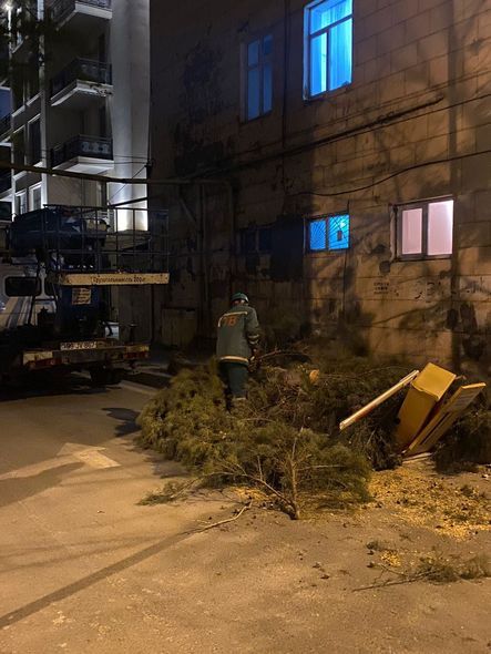 Külək Bakıda 25 ağacı aşırıb - FOTOLAR Külək Bakıda 25 ağacı aşırıb - FOTOLAR