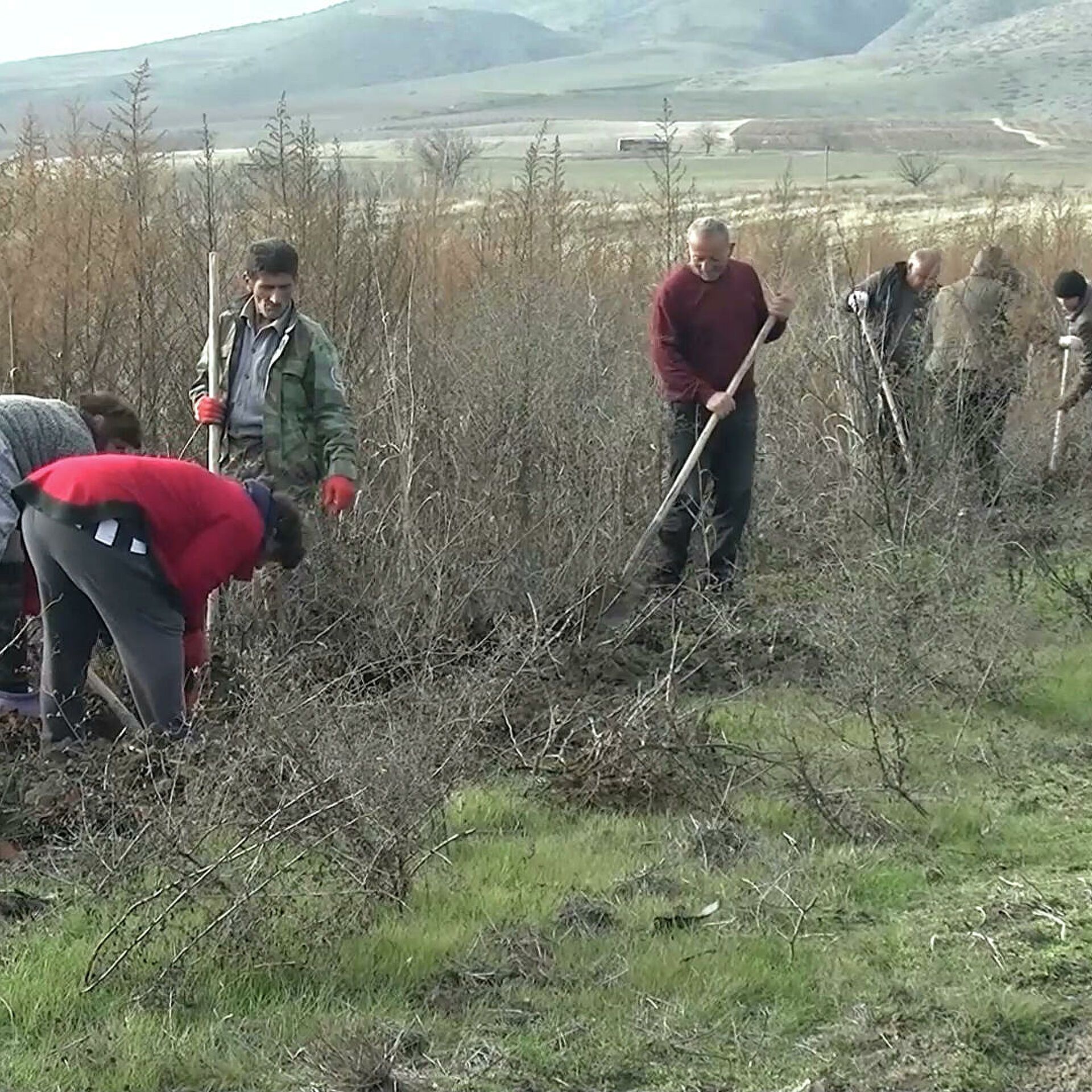 Sülhməramlılar ermənilərlə birgə Qarabağda üzüm bağları salırlar -  FOTO