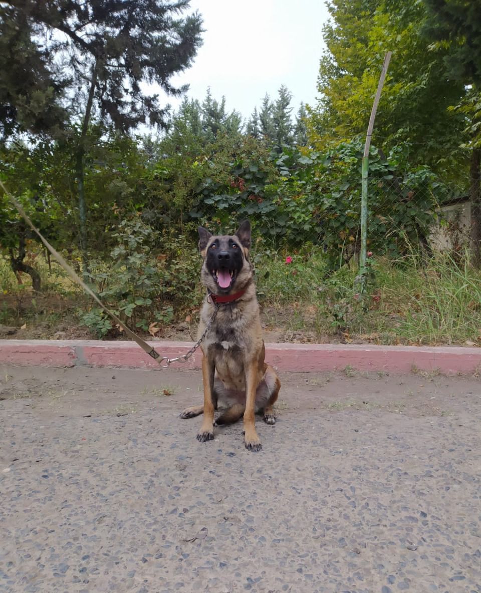 Hikmət Hacıyev Dina ilə bağlı paylaşım etdi - FOTO 