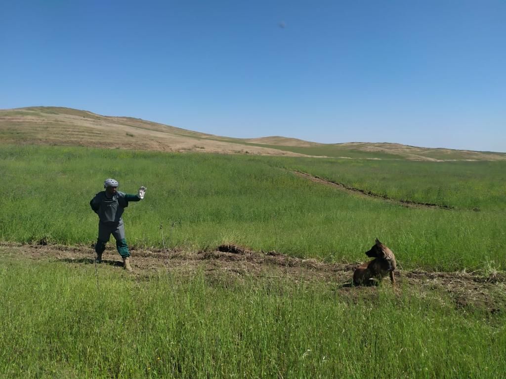 Hikmət Hacıyev Dina ilə bağlı paylaşım etdi - FOTO 