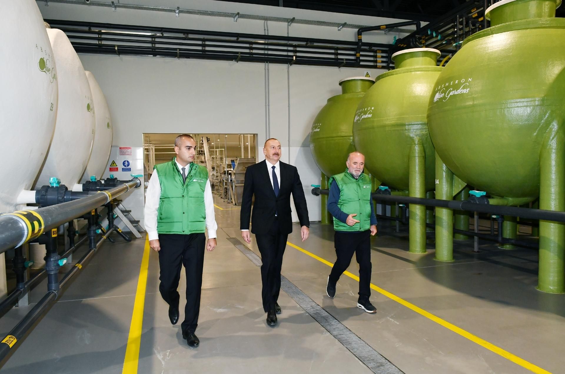 Prezident zeytun zavodunun açılışında - YENİLƏNİB - FOTO