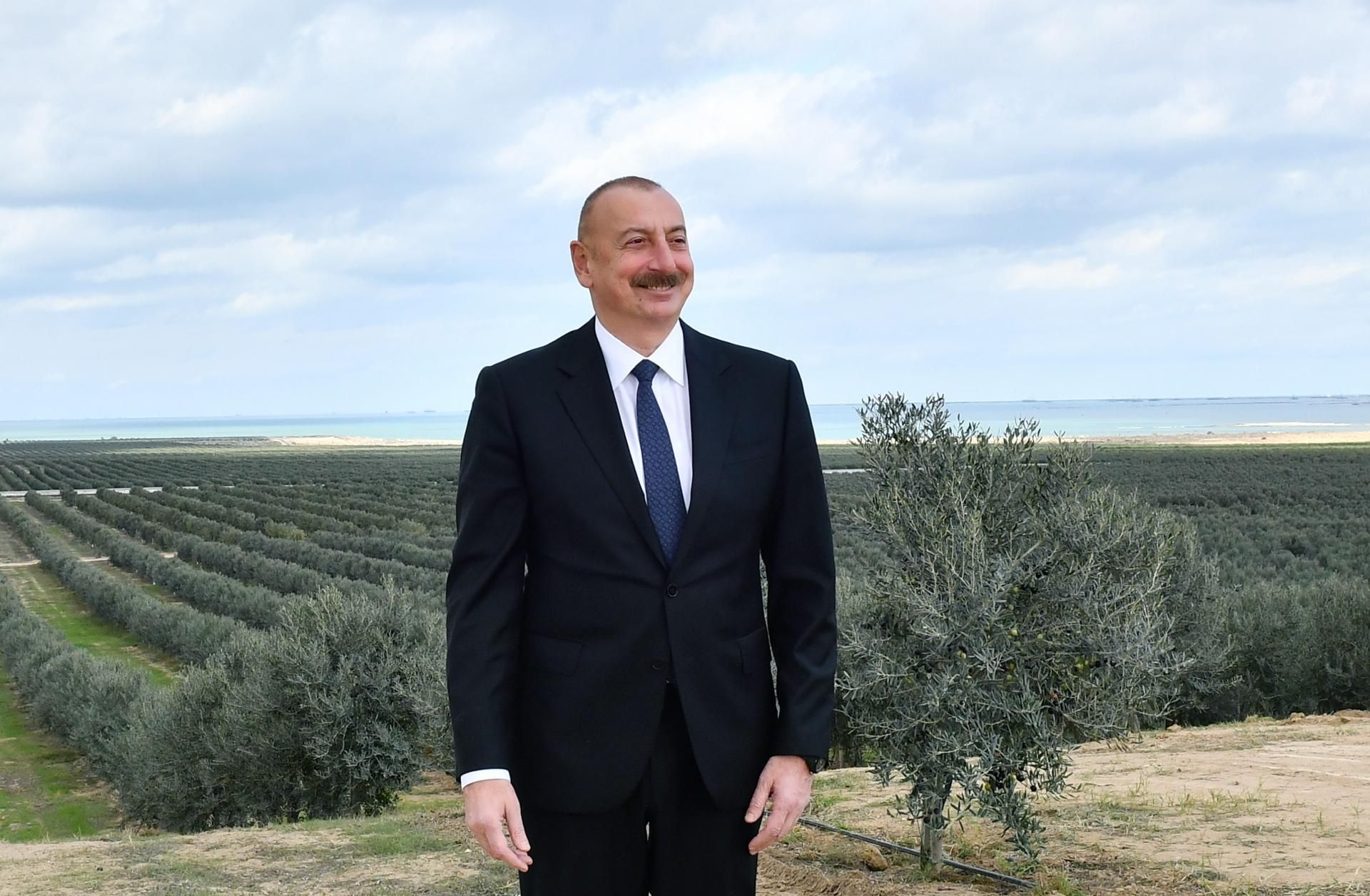 Prezident zeytun zavodunun açılışında - YENİLƏNİB - FOTO