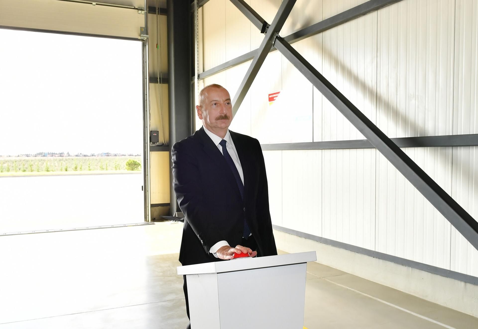 Prezident zeytun zavodunun açılışında - YENİLƏNİB - FOTO