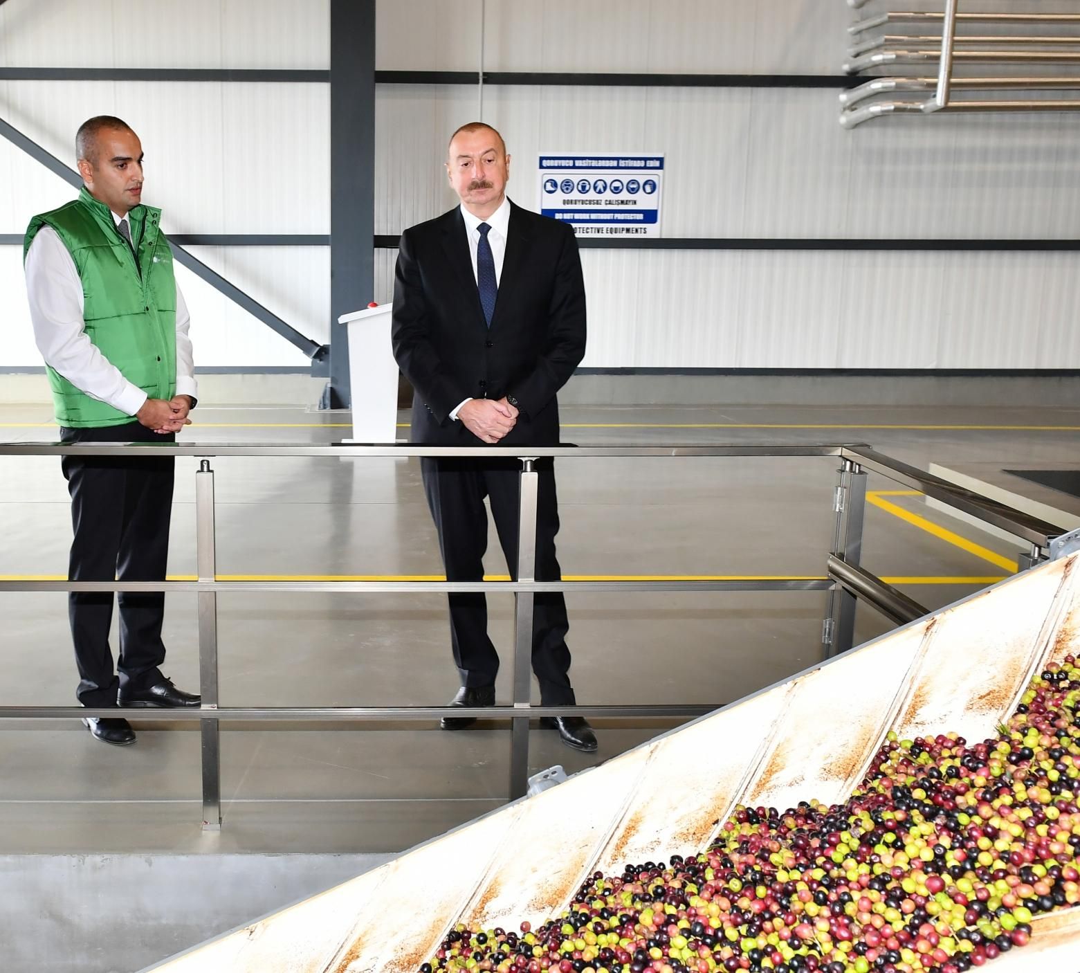 Prezident zeytun zavodunun açılışında - YENİLƏNİB - FOTO