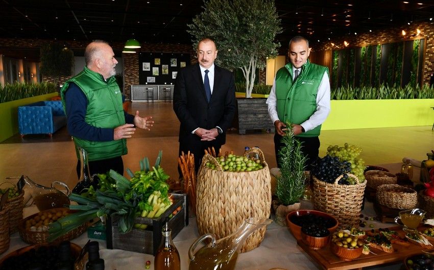 Prezident zeytun zavodunun açılışında - YENİLƏNİB - FOTO