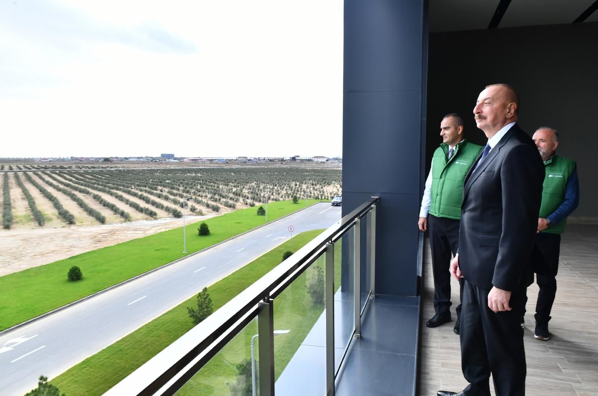 Prezident zeytun zavodunun açılışında - YENİLƏNİB - FOTO