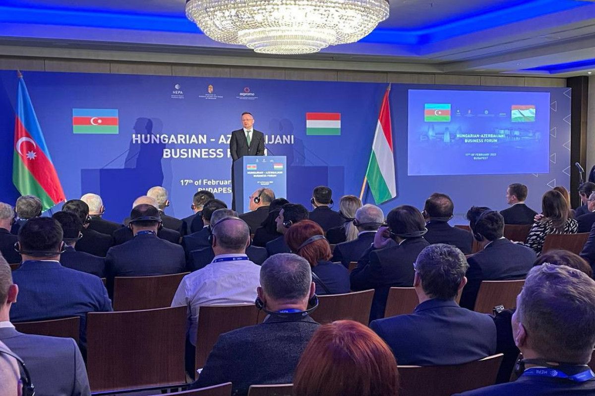 Budapeştdə Azərbaycan-Macarıstan biznes forumu keçirilib -  FOTO