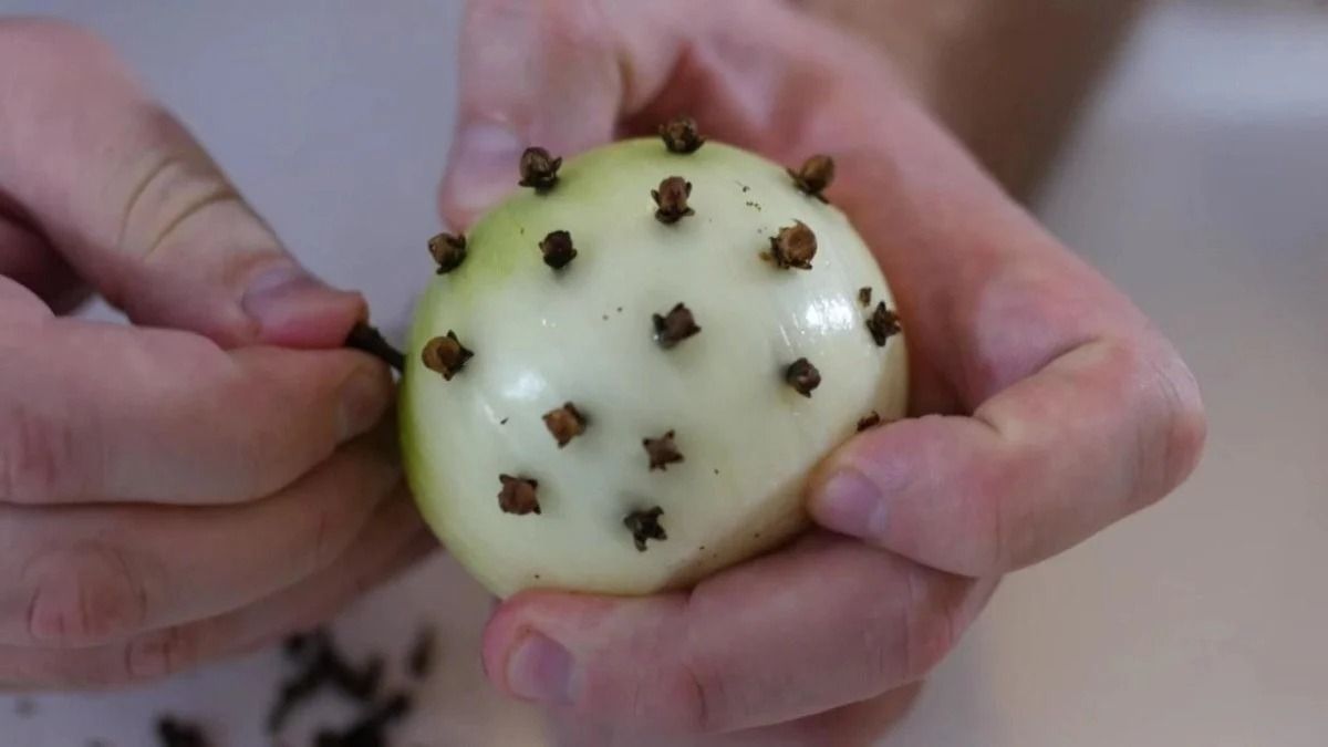 2023 12 12 09 33 171Om7ubdDzSDgm3nvRO6n file