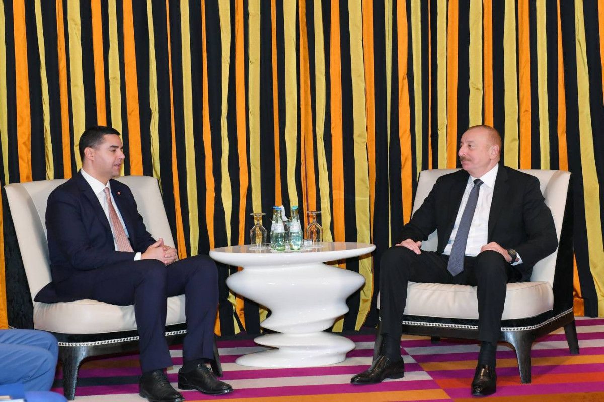 Prezident ATƏT sədri ilə görüşdü -  FOTO