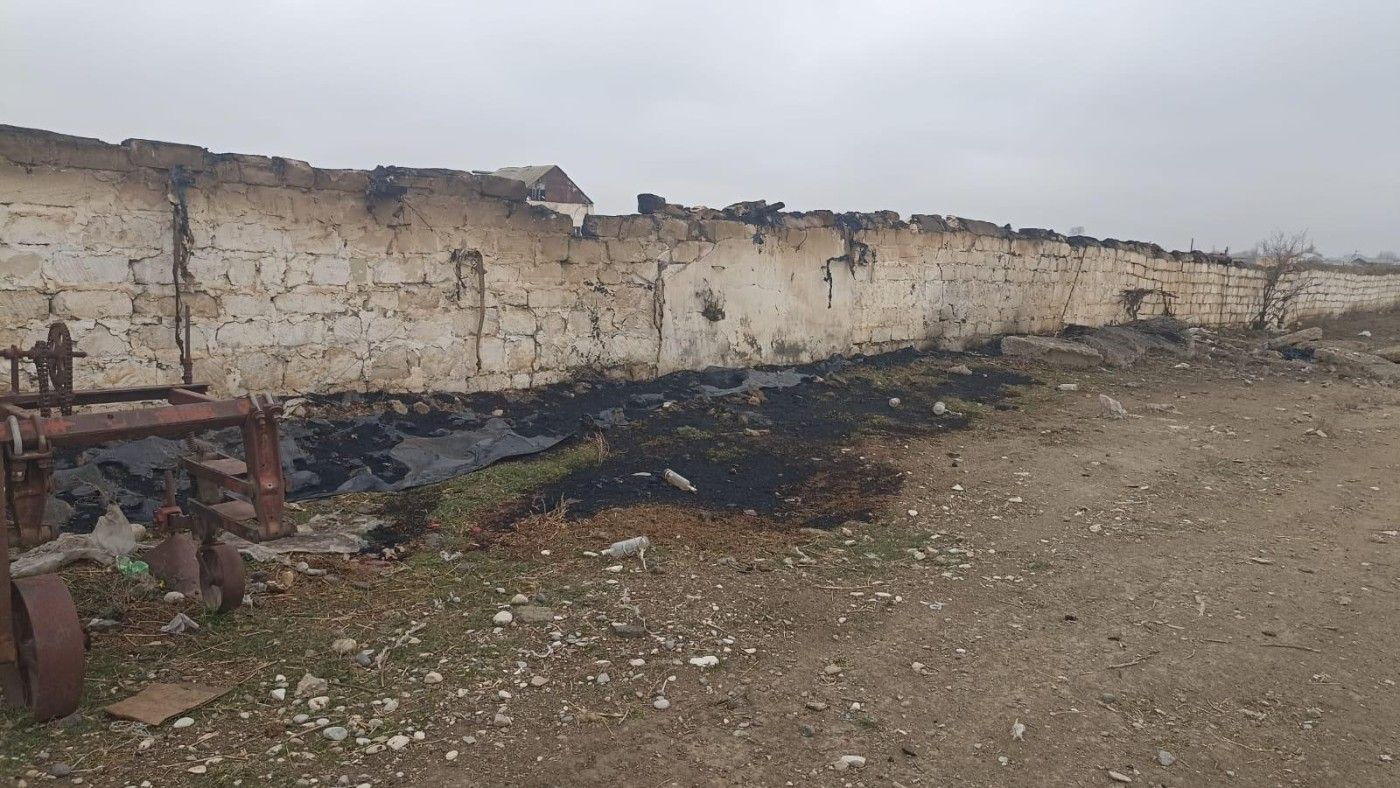 Qəsdən ferma yandırıldı - 230 baş heyvan tələf oldu - FOTO 