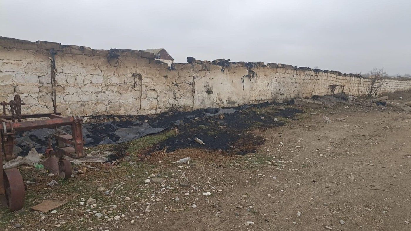 Goranboyda ferma yandırıldı - 230 baş heyvan tələf oldu - FOTO 