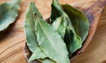 Dekabrda dörd gün dəfnə yarpağı yandırın: həyatınızın necə dəyişdiyini görün... 