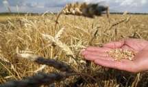 Azərbaycan keçən taxıl qatarı Ermənistana çatdı 