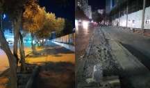 Xırdalanda ağacları kəsdilər - 13 250 manat cərimə... - FOTO 