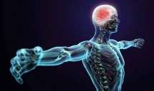 İnsan bədənində hansı "artıq" sümüklər var? - Cavab sizi təəccübləndirəcək 