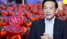 Əvvəllər 2 trilyon dollarlıq aktivləri idarə edirdi - İndi üç nəfərlə pomidor satacaq 