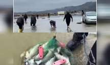 Bakıda göl daşdı: İnsanlar əllə balıq tutmağa getdi - VİDEO