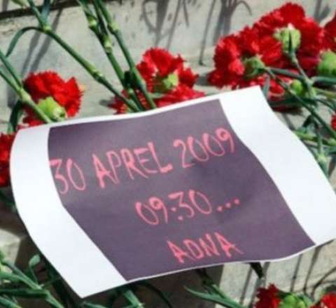 ADNA terrorundan 17 il ötür 