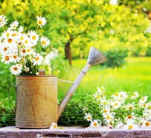 Sabahın havası: Temperatur yüksələcək 